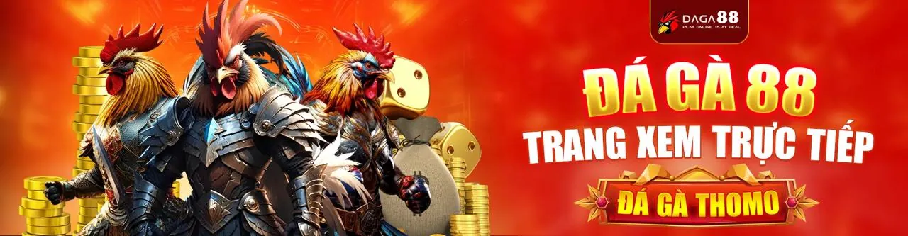 Hình ảnh tổng quan về tin tức và cập nhật của w88hn win